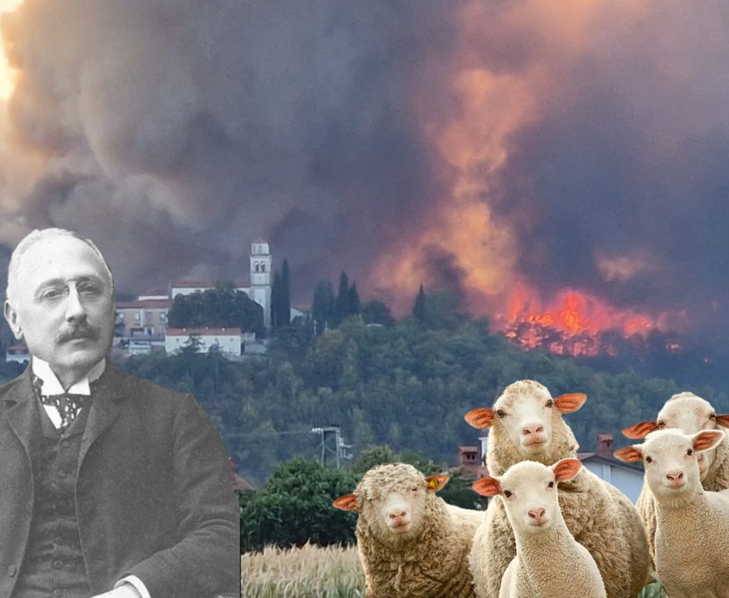 »“BÔRI, BÔRI V TIHI GROZI,« – KAKO JE KAPITALIZEM PROLETARIZIRAL KRAŠEVCE IN POŽGAL KRAS